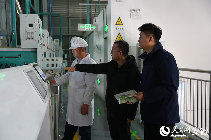 国元农业保险农险驻点员潘伟昊（左）在新禾米业厂房勘察。人民网记者 王锐摄