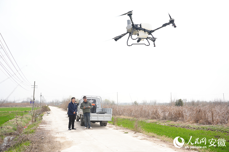 国元农业保险农险驻点员潘伟昊（左）在田间勘察。人民网记者 王锐摄