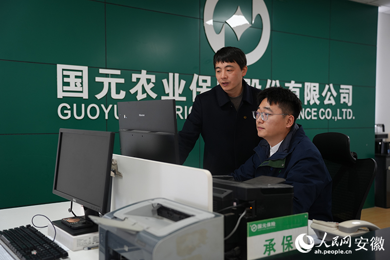 吴锐（左）为农险驻点员潘伟昊进行业务指导。人民网记者 王锐摄